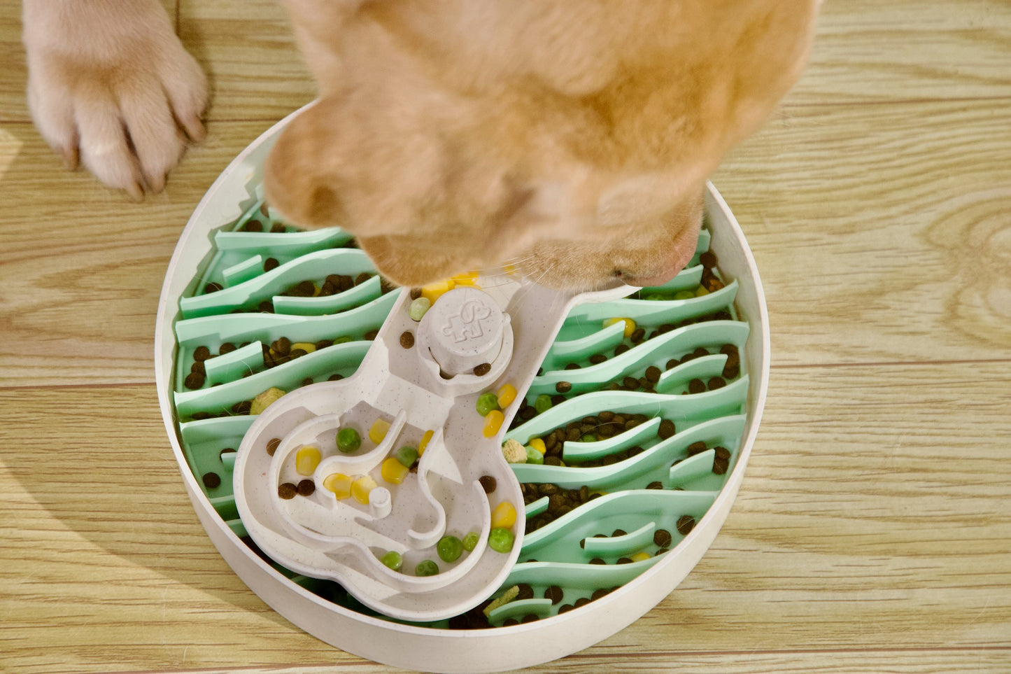 Puzzle Feeder - Slow Bowl 25cm