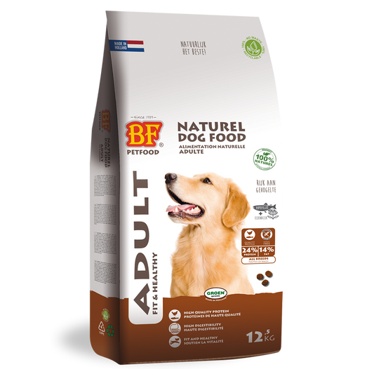 BF Adult Fit&Healthy